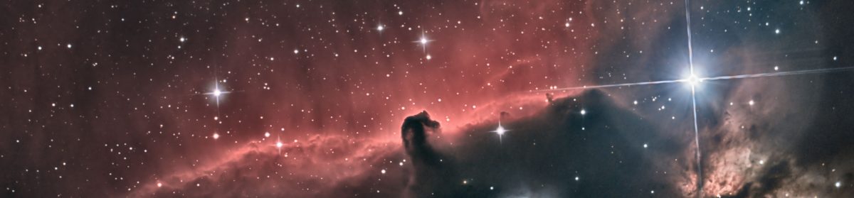 Oma sivusto: Mika Palasto